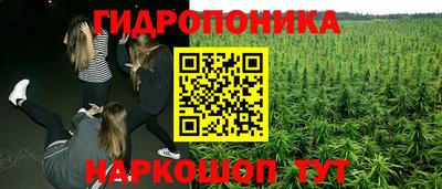 ПСИЛОЦИБИНОВЫЕ ГРИБЫ Кингисепп