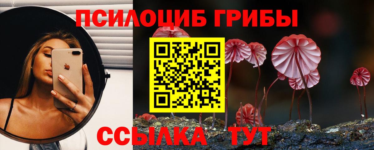 Галлюциногенные грибы Magic Shrooms Карачаевск