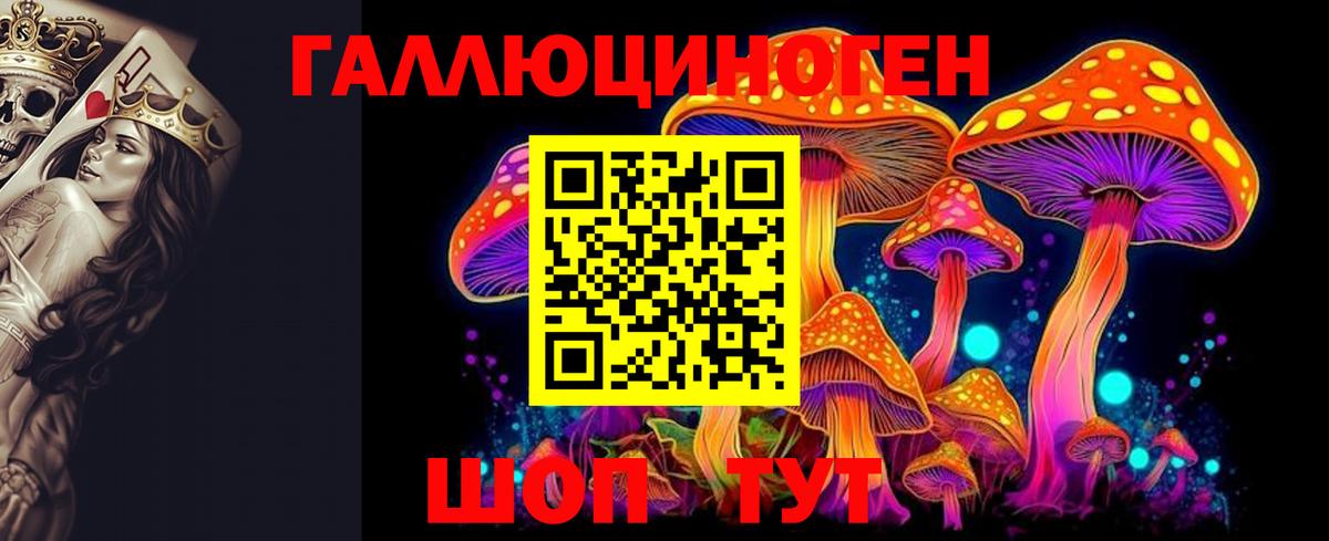 Псилоцибиновые грибы MAGIC MUSHROOMS  Вход с VPN  Карачаевск 