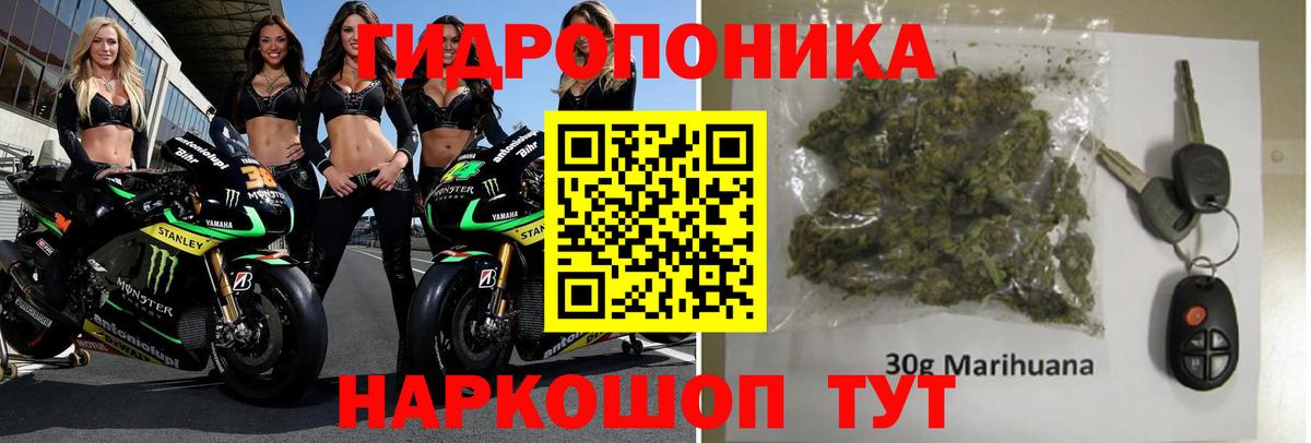 Бошки марихуана Bruce Banner  Вход с VPN  Карачаевск  Канабис MAZAR 
